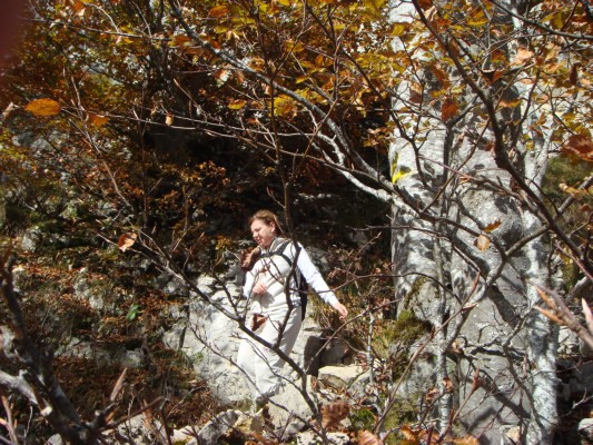 HW-PS09-15.JPG